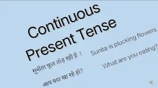 Present continuous tense sentences|Work in progress.