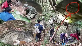 yos hav zoov tua mab 4/8/2021
