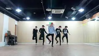 LEO Touch & Sketch Dance Practice Mirror
