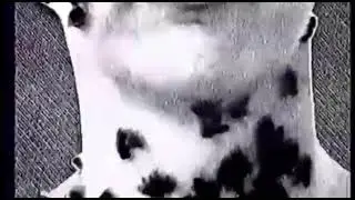 Я Случайно Наркоманская Рекламная Заставка Телеэкспо (апрель 1998) в 2 раза