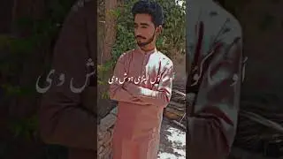 viral video