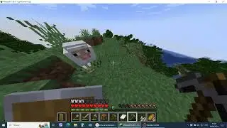 Minecraft #2
