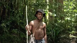Antara Hutan, Masyarakat Adat, Dan Perusahaan (Forest, Indigenous People, and Industry)