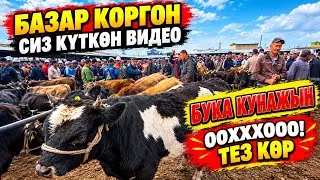Оооххоо пай пай 🔥болот экенго мал базар кызыды тез кор 😱