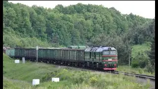 Тепловоз 2М62У-0077 с грузовым поездом на перегоне Скибнево - Малиничи