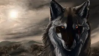 Animation