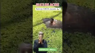 SUCURI GIGANTE NO RIO CROA ACRE #sucuri