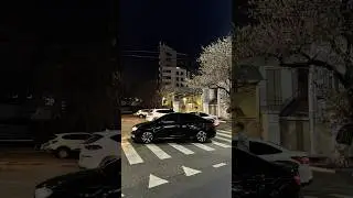 дак вэста или веста? Уууууэста стая пирёд 🟢 больше контента – в тгк: два бульвара