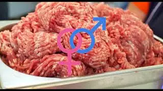 Казённый унитаз - Фаршеёб