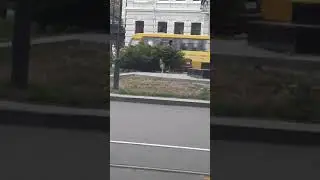 Даже спинку почесать некому