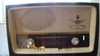 Grundig type 2099