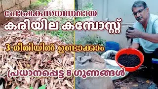How to make Dry Leaf Compost in Three ways|3 രീതിയിൽ വളരെ എളുപ്പത്തിൽ കരിയില കമ്പോസ്റ്റ് ഉണ്ടാക്കാം