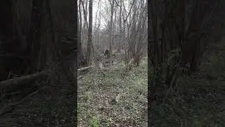 Kładka nad rozlewiskiem Kanału Zaborowskiego | Kampinoski Park Narodowy