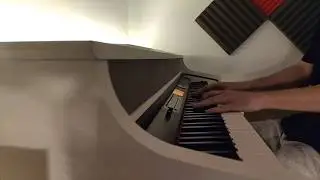 Thomann Dp95 (Free Fallin)