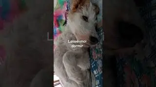 Laisse-moi dormir, pas de gymnastique ce matin. Ондин не хочет вставать с кровати.