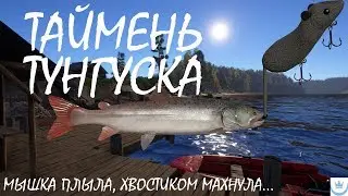Русская рыбалка 4 (РР4)-🐟 ДЕНЬ 8-Й ПОСЛЕДНИЙ ШАНС ПЕРЕД РЕСТАРТОМ ТУНГУСКА