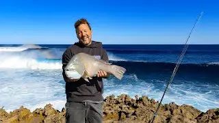 DESERT VISIONS - Chasing baldies at Urchin Point, Dirk Hartog Island