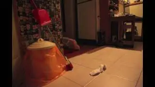 The Mice - stop motion HD