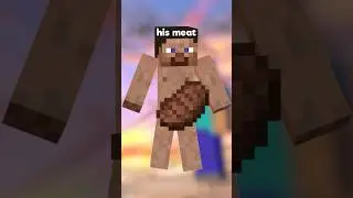 Nintendo Censored Steve