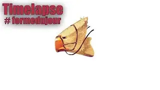 Forme du jour n°20 : Le chocobo