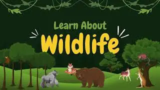 Wild animals | Learn wild animal names in English | Kids vocabulary | English educational video