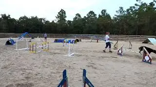 Agility Jump grid clinic