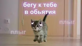 Валентин Стрыкало - Ебашь, Альбина!  (укулеле кавер/ukulele cover)