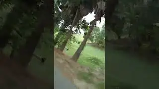 Nature View In Village