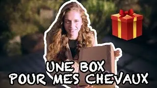 DES SURPRISES pour CHEVAUX