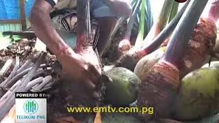 National Agriculture Research Institute trials new Taro Ice Cream