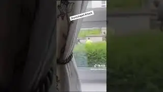 Drumchapel machete fight