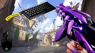 VALORANT but it's Logitech G102 (360Hz)