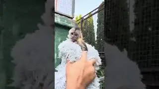Тайган,там где царит Добро