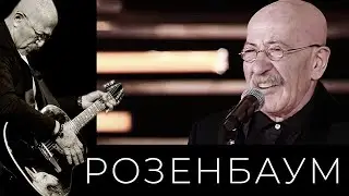 Александр Розенбаум – Утиная охота 