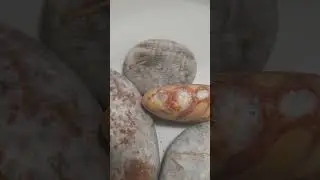 как определить палео камни  #море #шортс  #наука
