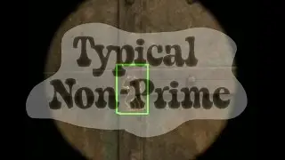 csgo #12 Typical Non-Prime