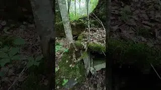 Старая финская постройка #metaldetecting #заброшенное