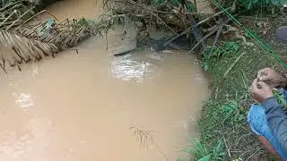MOST RECORD JUMBO CATFISH FISHING IN THE RIVER MAS BRO ...