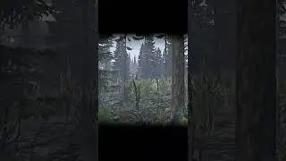 Dayz Fails 325 #shorts