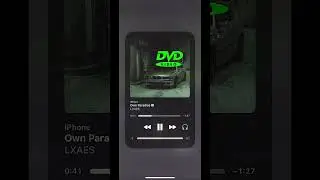 Own Paradise - LXAES