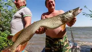 Рыбалка на Волге 2018. Астрахань пос.Грачи