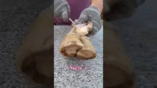 12 августа 2024 г.