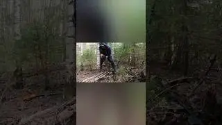 Металлокоп в делянках.