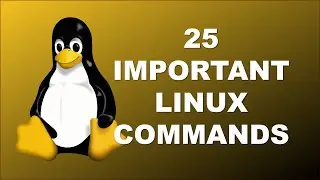 25 Important Linux Commands you must know