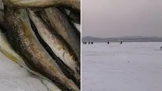 Рыбалка Шкотовские меляки февраль 2021