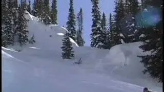 Winter Backcountry Colorado