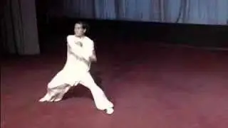 武术 - 形意拳