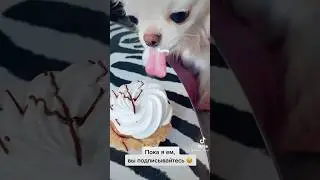 #рекомендации #мем #жиза