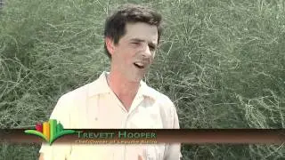 Grow Pittsburgh Organization Video