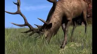 DayZ - Predators Teaser Footage